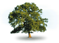 pic_006.gif