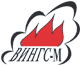vings_logo_80.gif